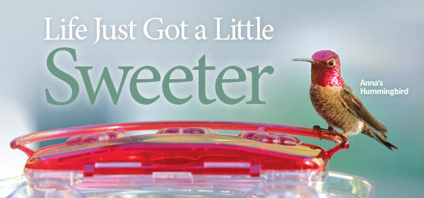 Life Just Got a Little Sweeter